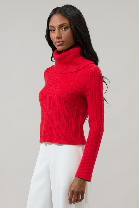 Perrie Turtle Neck Sweater